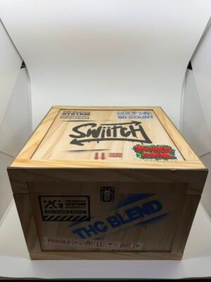 Swiitch Disposable 2G