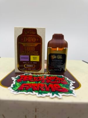 Big Chief Duo V3 Disposable 2G