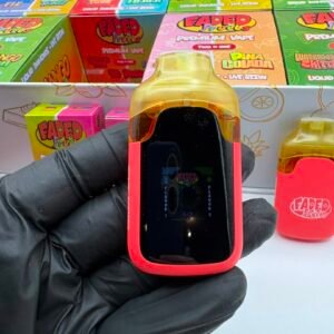 Faded Fruits 2g Disposable