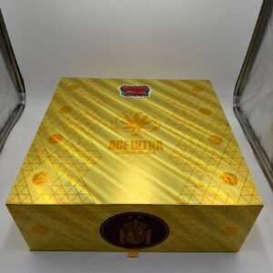Ace ultra premium world champions 2g