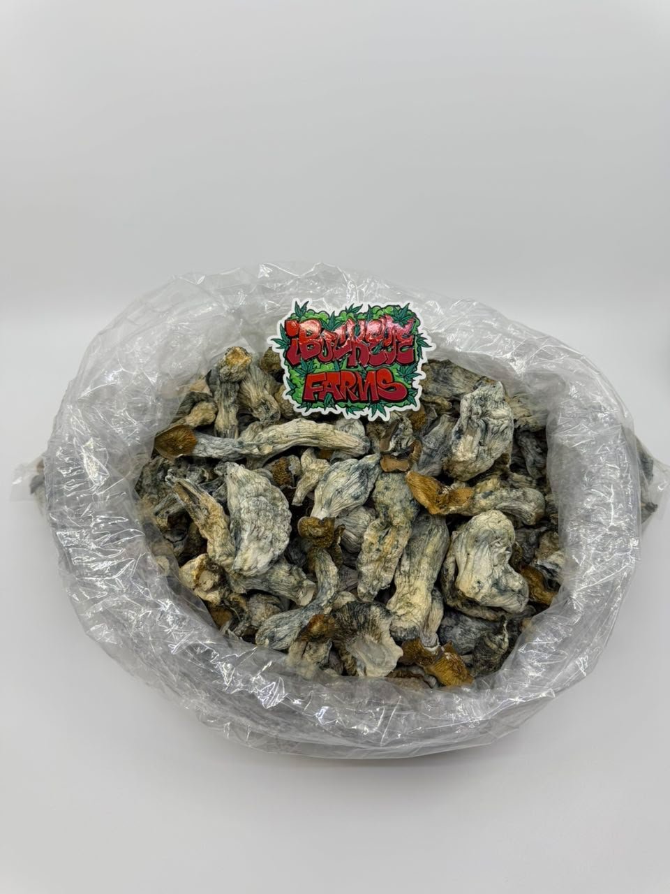Magic Mushrooms Magic Mushrooms