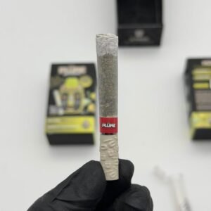 Plume Juice Box 2g with Pre Roll