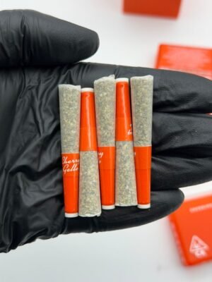 SHERBINSKI Live Rosin Joints