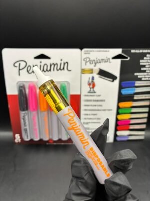 PENJAMIN DISPOSABLE 2G