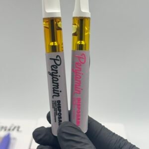 PENJAMIN DISPOSABLE 2G